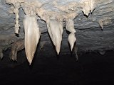 00395-1862 Stalactites in Lagang Cave - Photo by GKS